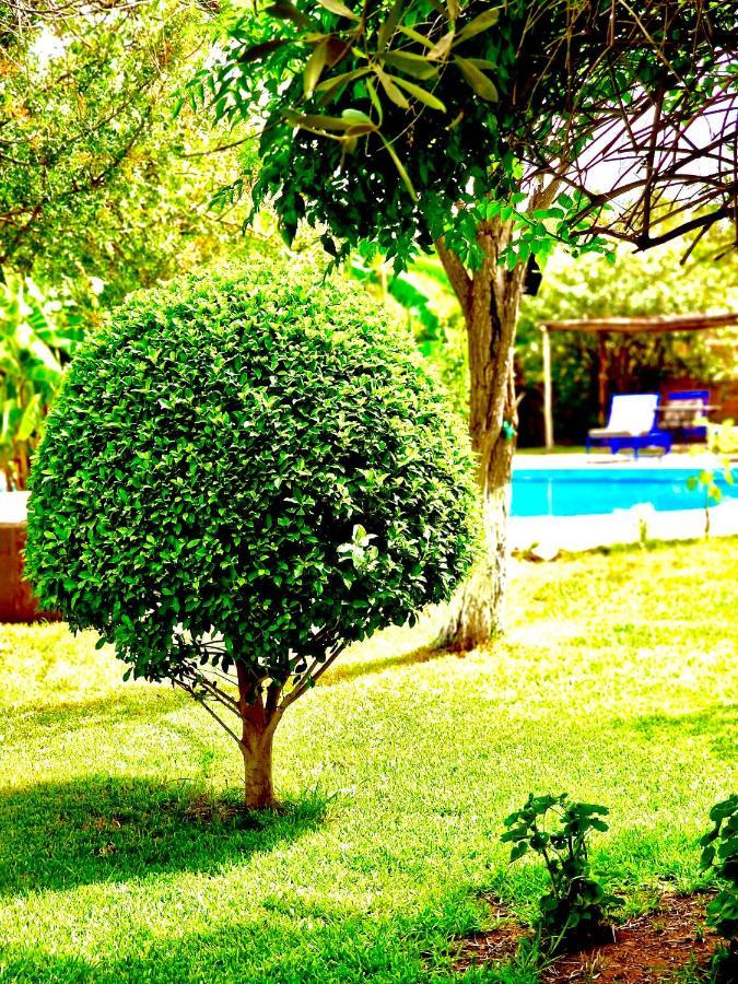 مبيت وإفطار Douar Akkara Le Domaine De Carole Marrakech المظهر الخارجي الصورة