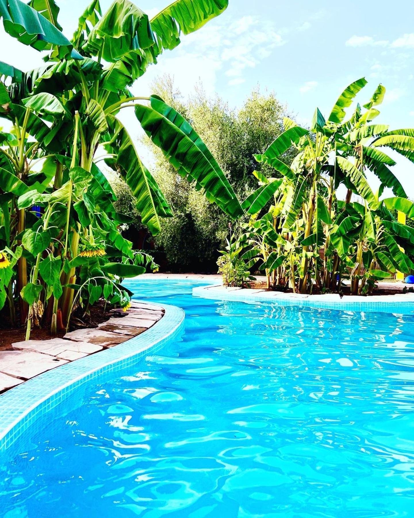 مبيت وإفطار Douar Akkara Le Domaine De Carole Marrakech المظهر الخارجي الصورة