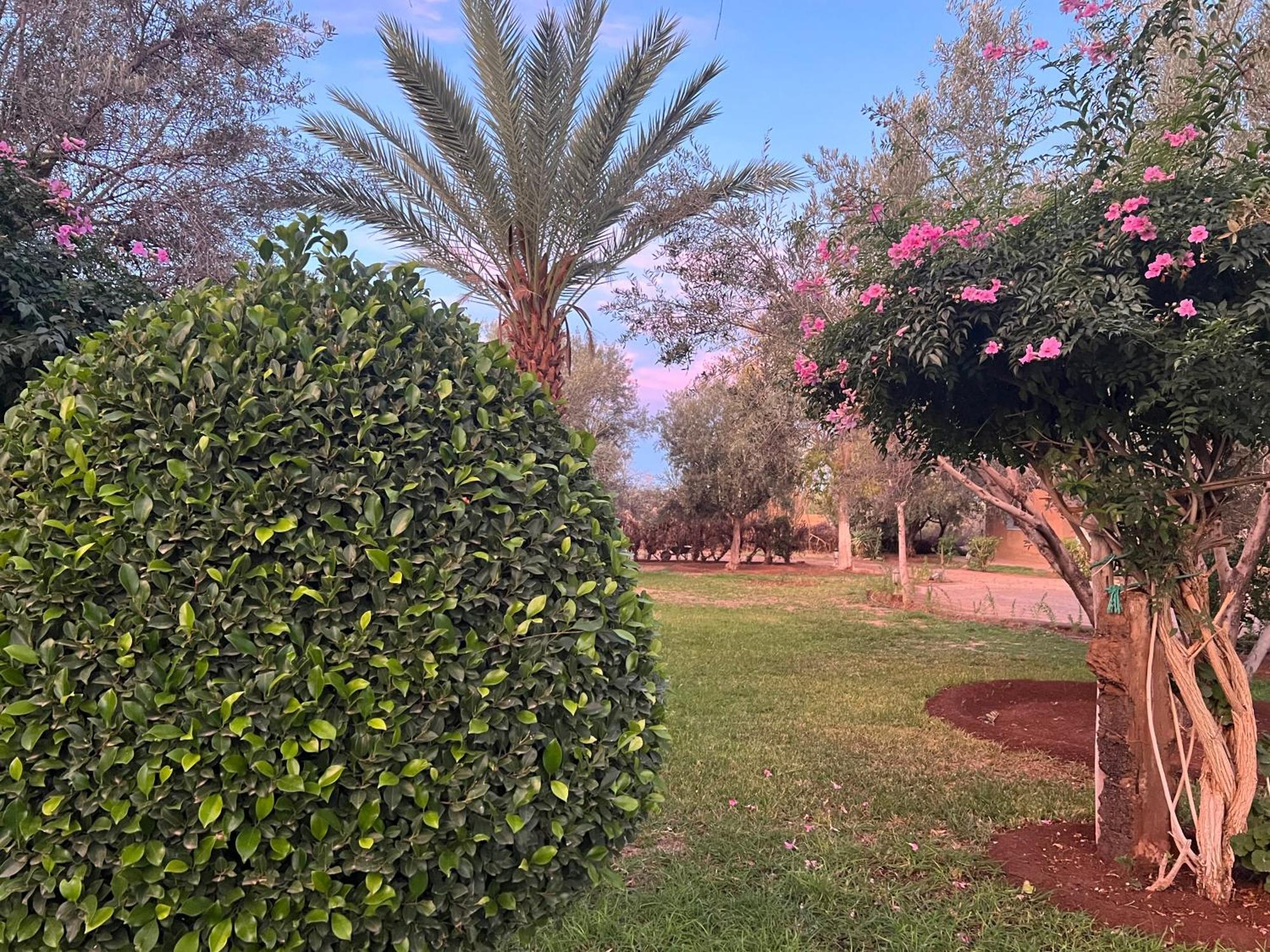 مبيت وإفطار Douar Akkara Le Domaine De Carole Marrakech المظهر الخارجي الصورة