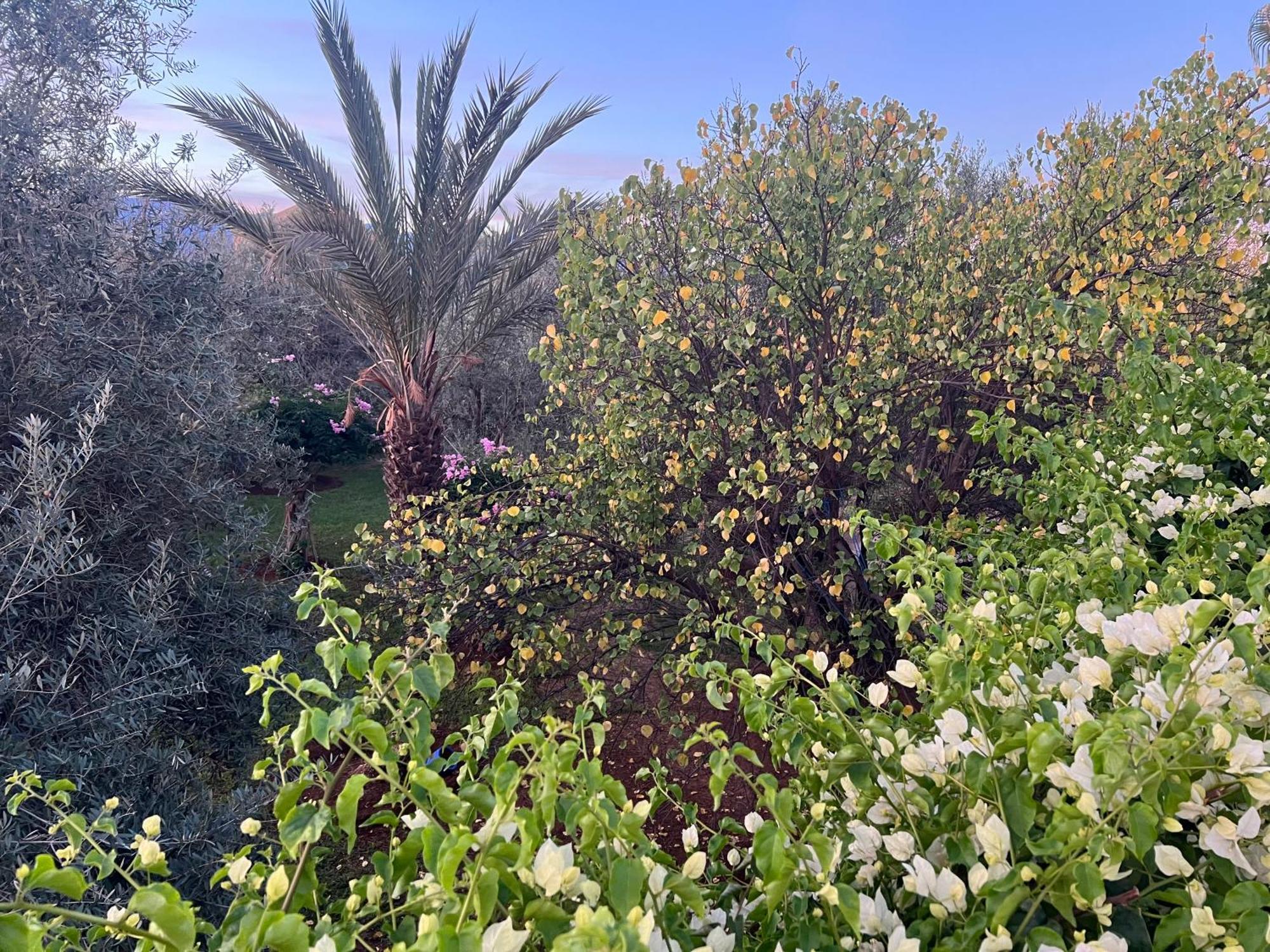 مبيت وإفطار Douar Akkara Le Domaine De Carole Marrakech المظهر الخارجي الصورة