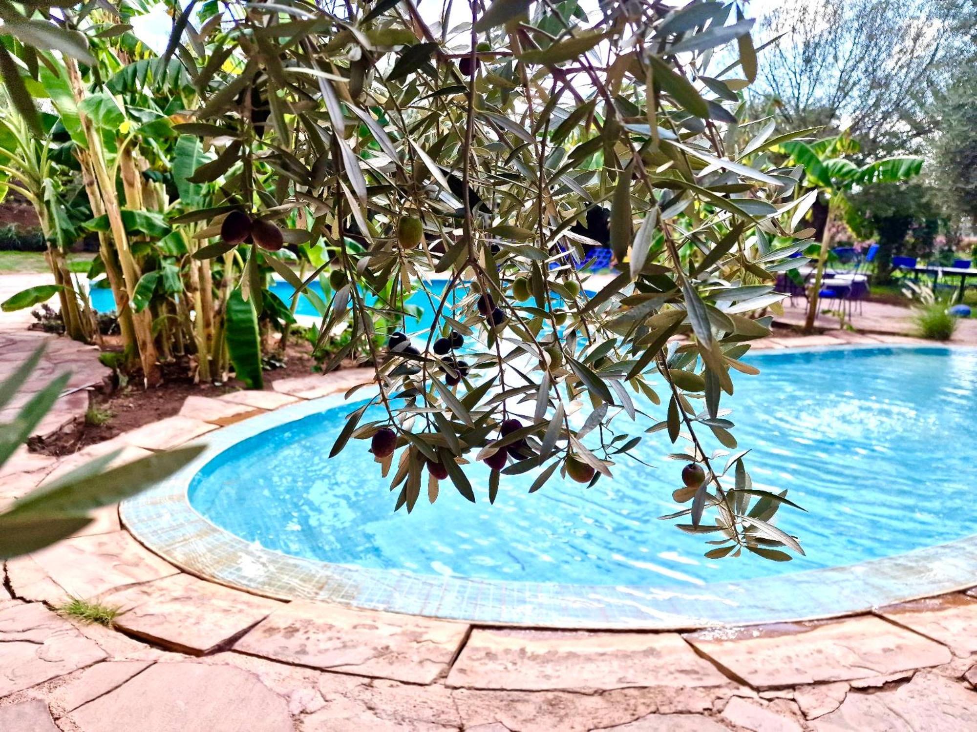 مبيت وإفطار Douar Akkara Le Domaine De Carole Marrakech المظهر الخارجي الصورة
